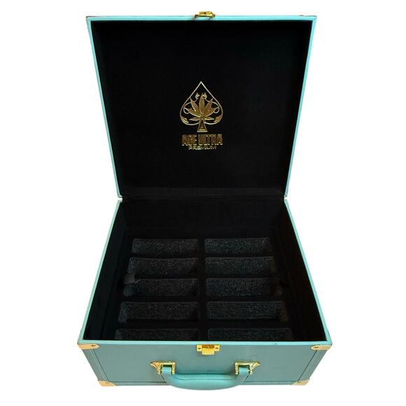 Ace Ultra Premium Blue Storage Luggage Box EXCELLENT CONDITION - Picture 3 of 9